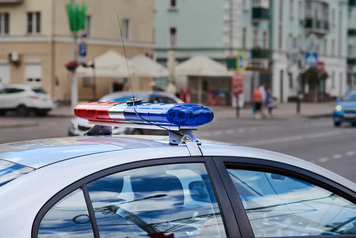 policja